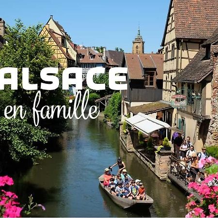 Ville Centre - Gite Le Villois - Au Coeur De L'Alsace Εξωτερικό φωτογραφία