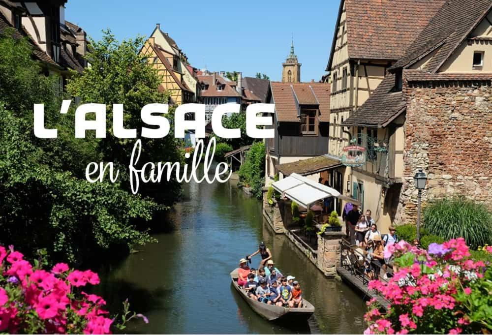 Ville Centre - Gite Le Villois - Au Coeur De L'Alsace Εξωτερικό φωτογραφία